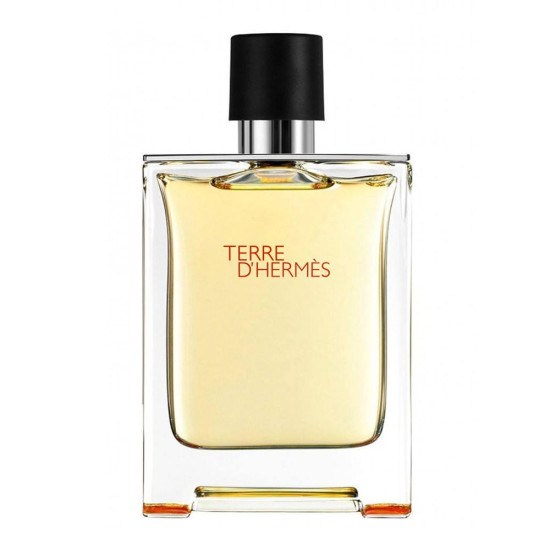 Hermès Terre d'Hermès Eau de Toilette For Men