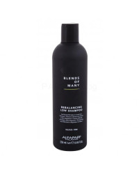 Blends of Many Rebalancing Shampoo 2in1 - 2в1 себобалансиращ шампоан и против пърхот за мъже